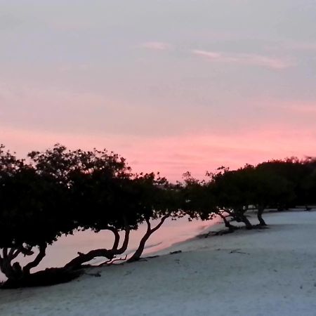 Aruba Surfside Marina Hotel โอรันเยสตัด ภายนอก รูปภาพ
