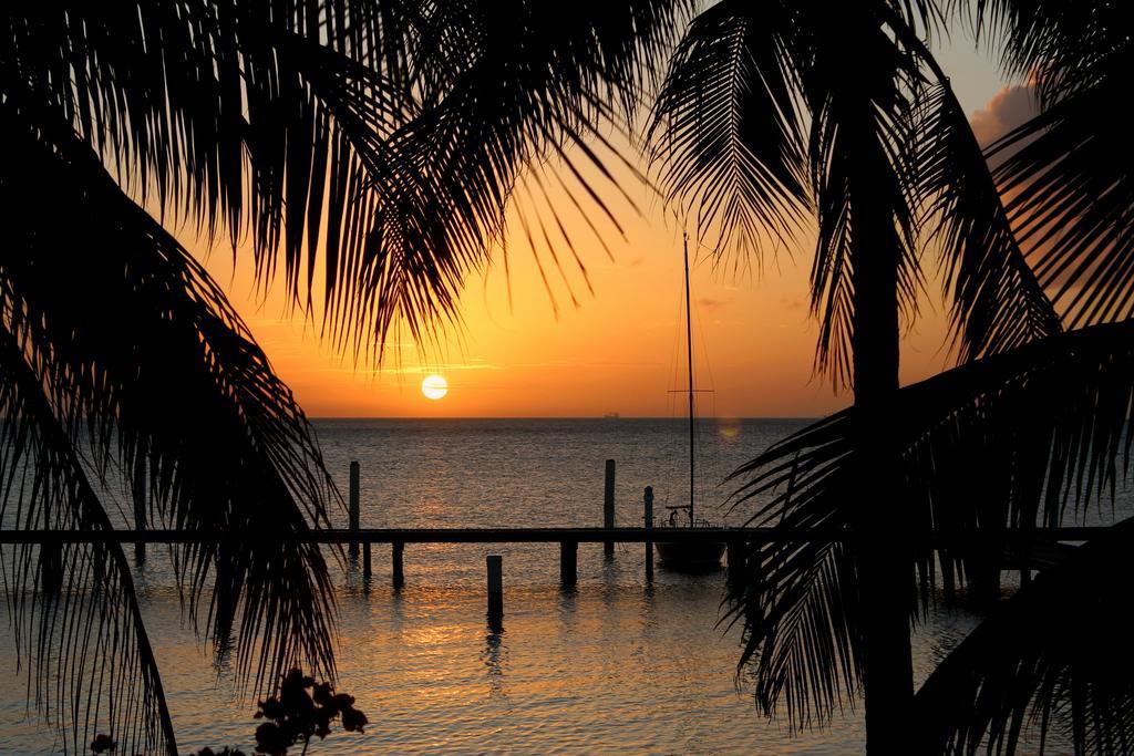 Aruba Surfside Marina Hotel โอรันเยสตัด ภายนอก รูปภาพ