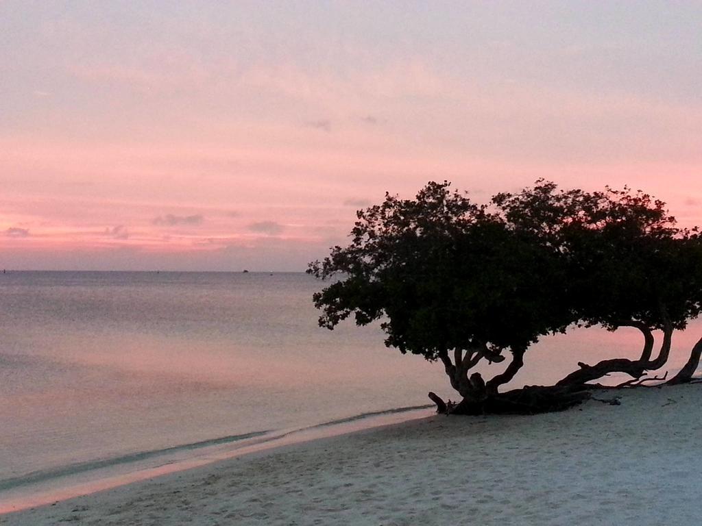 Aruba Surfside Marina Hotel โอรันเยสตัด ภายนอก รูปภาพ