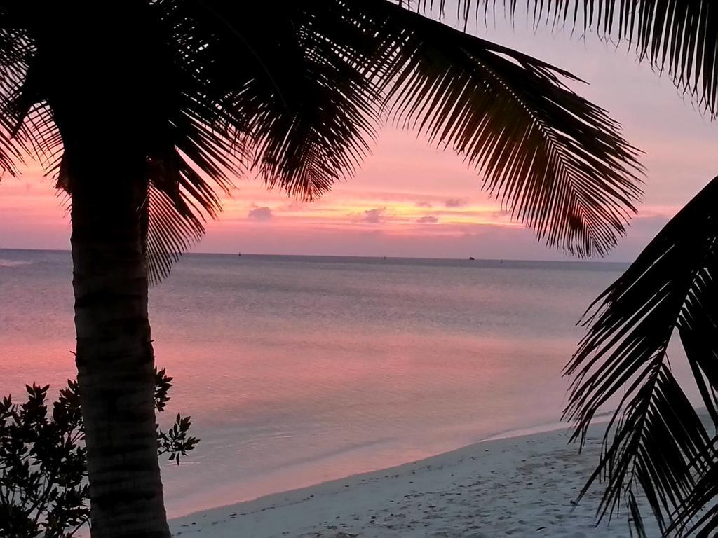 Aruba Surfside Marina Hotel โอรันเยสตัด ภายนอก รูปภาพ