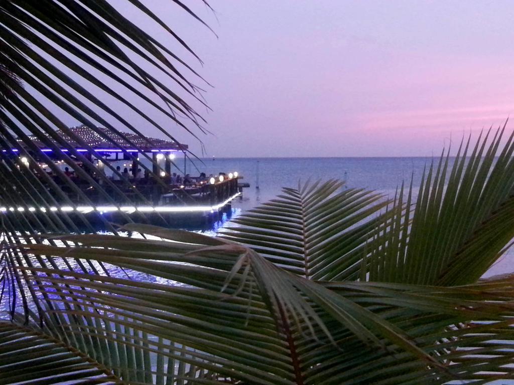 Aruba Surfside Marina Hotel โอรันเยสตัด ภายนอก รูปภาพ