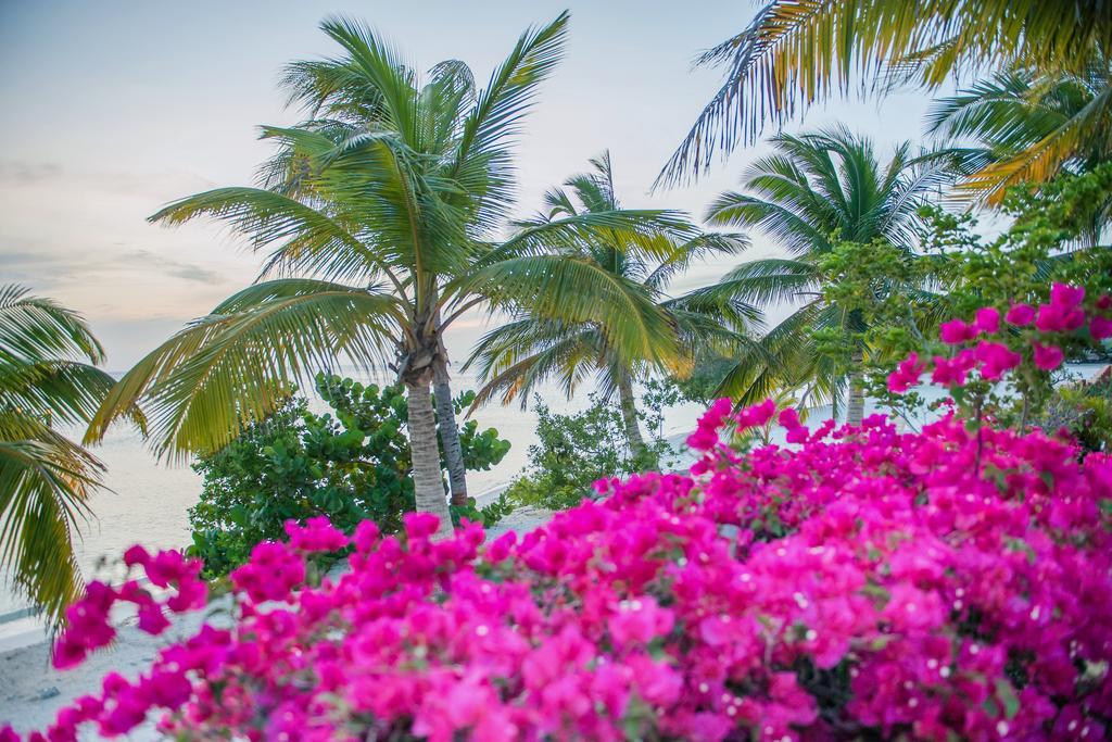 Aruba Surfside Marina Hotel โอรันเยสตัด ภายนอก รูปภาพ
