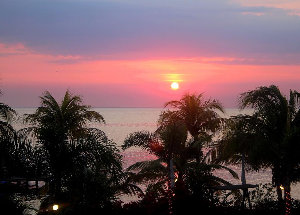 Aruba Surfside Marina Hotel โอรันเยสตัด ภายนอก รูปภาพ