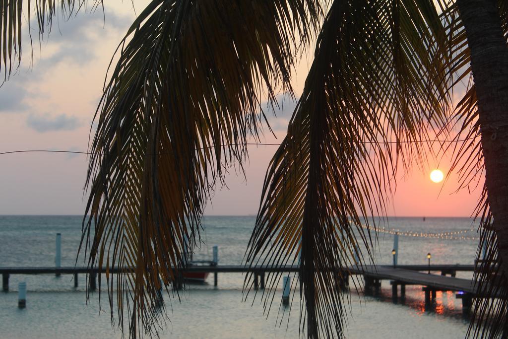 Aruba Surfside Marina Hotel โอรันเยสตัด ภายนอก รูปภาพ