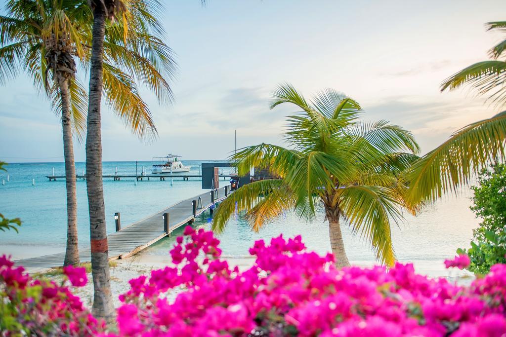 Aruba Surfside Marina Hotel โอรันเยสตัด ภายนอก รูปภาพ
