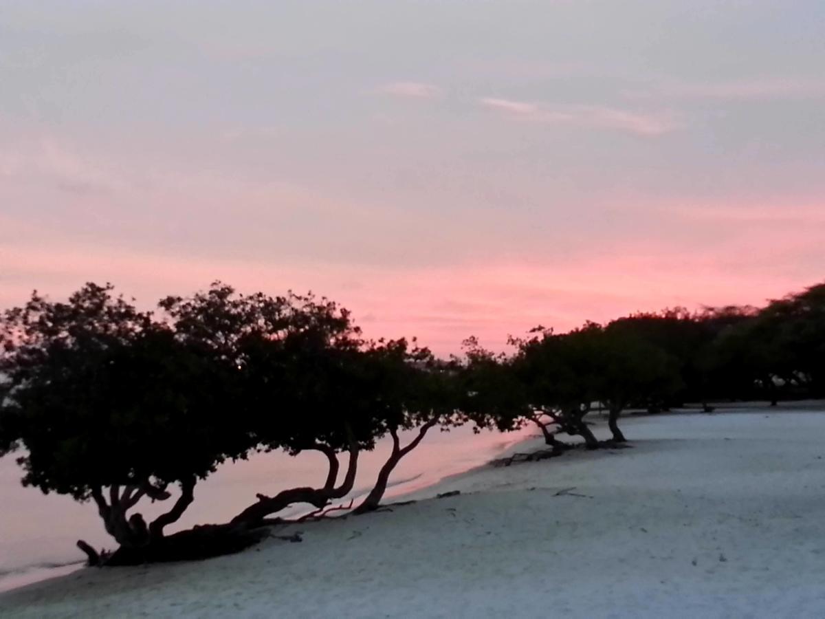 Aruba Surfside Marina Hotel โอรันเยสตัด ภายนอก รูปภาพ